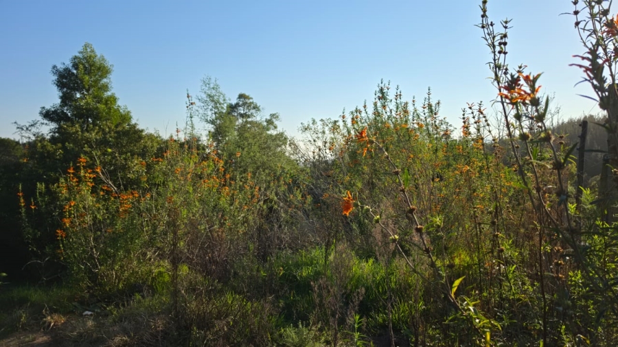 Commercial Property for Sale in Sedgefield Rural Western Cape
